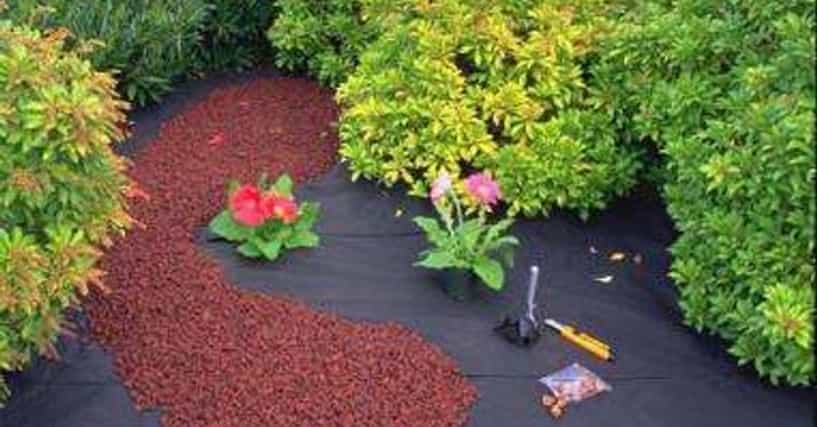 Best Landscape Fabric Weed Control, Weedblock Weed Barrier Landscape Fabric With Micro Funnels
