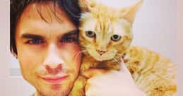 75+ Celebrities Who Are Cat People