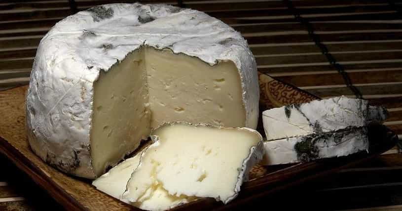 Best Soft Cheeses | List of Soft Cheese Varieties