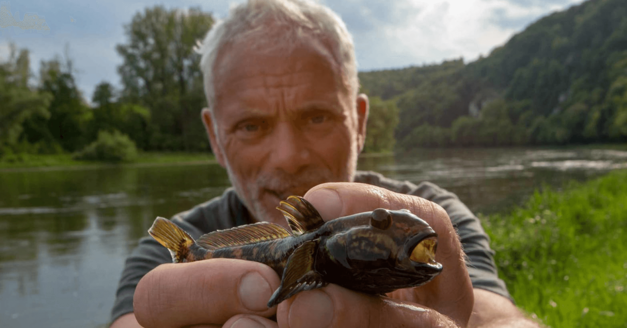 The 50+ Best Nature Shows To Watch Drunk