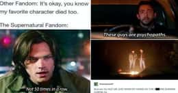 24 Supernatural Memes For The Fans That Have Been There Since The Start