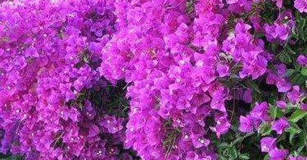 images What Is The Most Prettiest Color In The World most beautiful colors list of