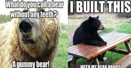 Unbearably Funny Bear Puns