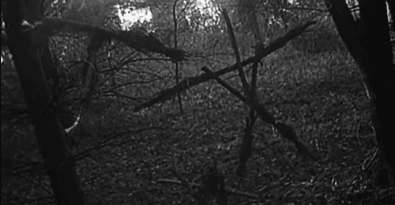 Crazy Things You Didn't Know About The Original Blair Witch Project