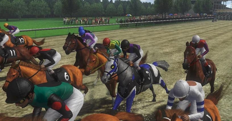 starters orders 6 horse racing game