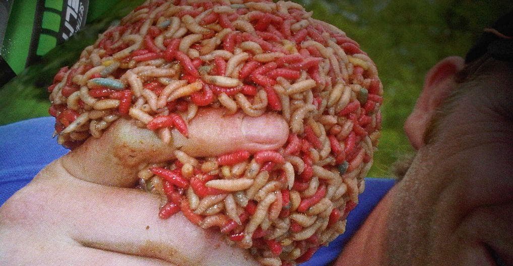 12 Bug Bites You Should Never Ever Google Image Search