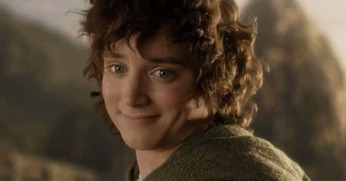 Frodo Details
