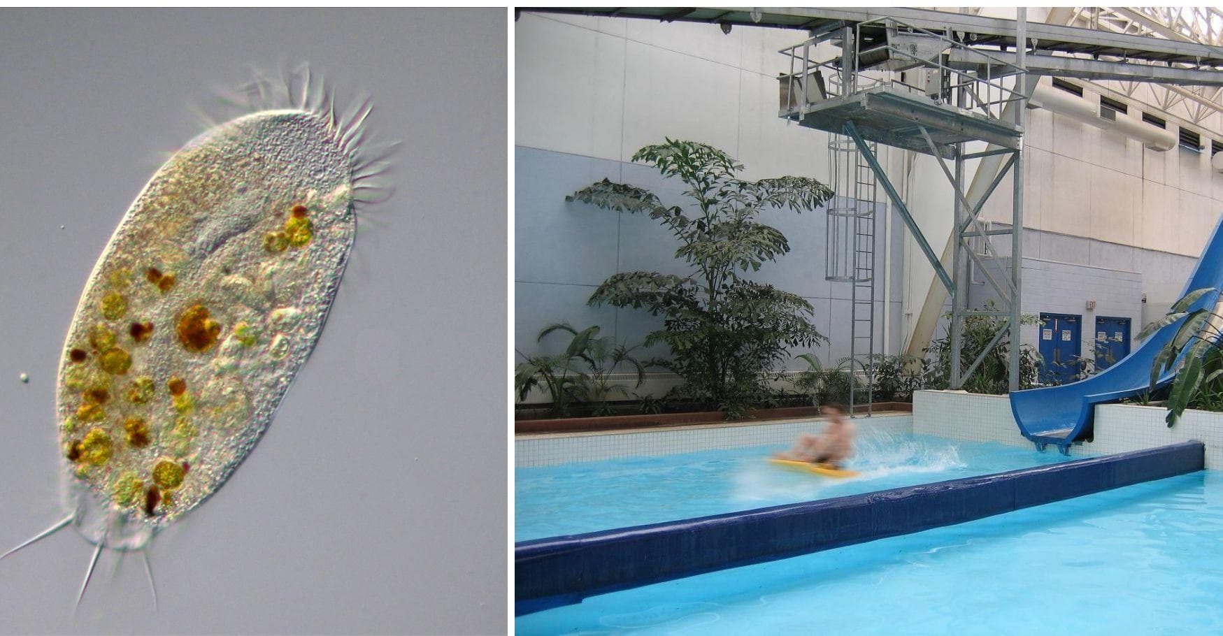 13 Potential Infections You Could Get At A Water Park