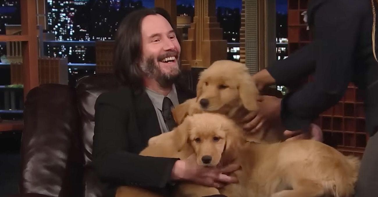 14 Hilarious Interview Moments We Found This Week