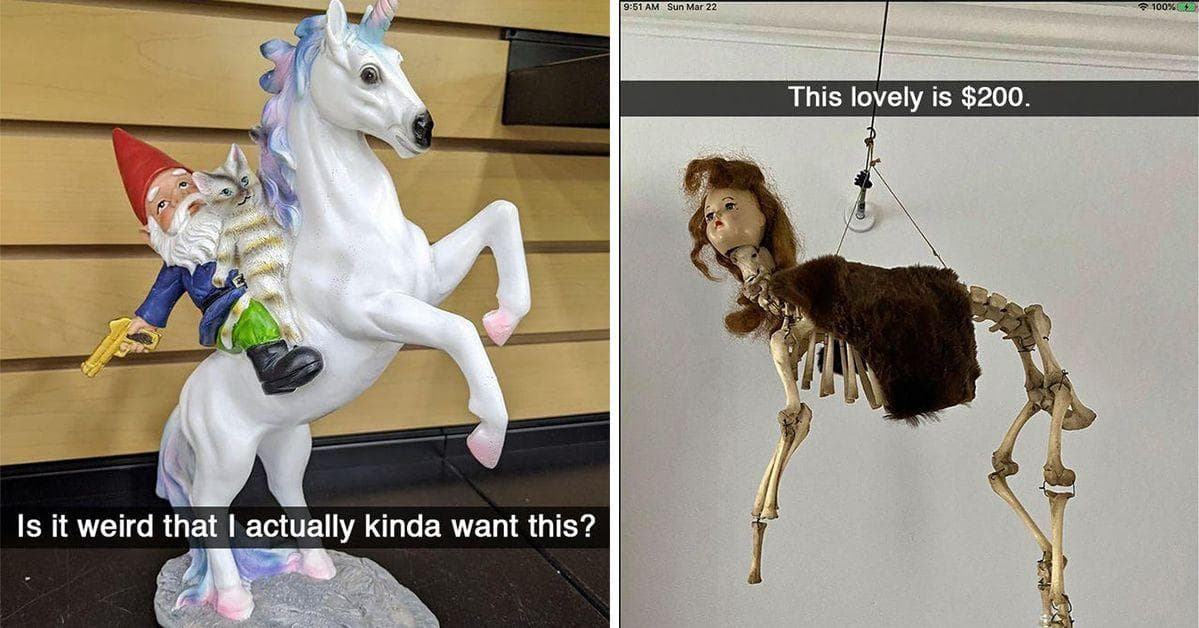 26 Weird Items For Sale At The Most Cursed Place On The