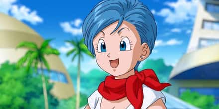 The Best Bulma Briefs Quotes