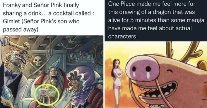 Emotional Fan Observations About One Piece
