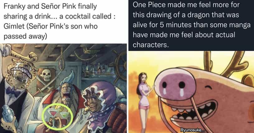 Fans Are Sharing Emotional Details From One Piece We Never Noticed Before