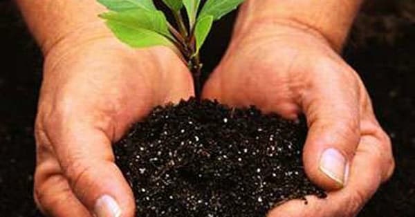 The Best Garden Supply and Furniture sites