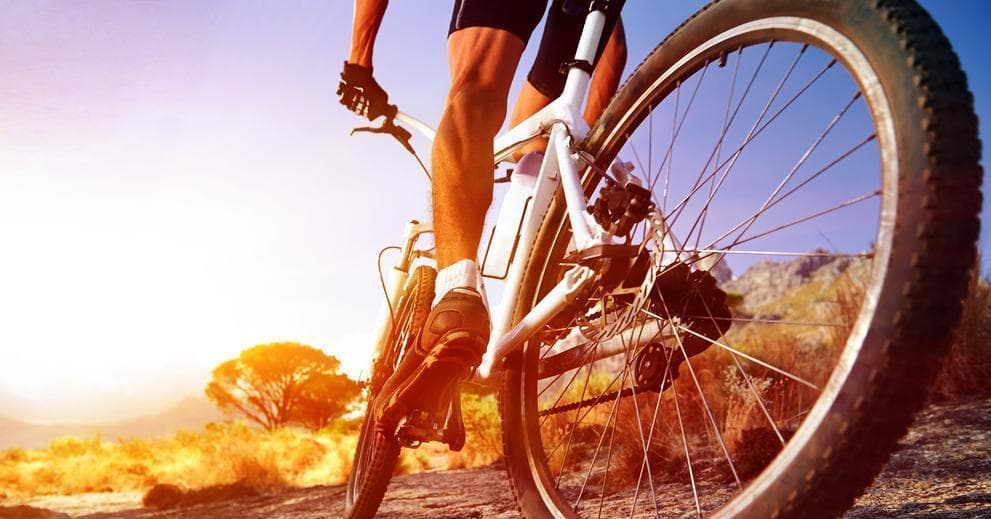 Best Bike Shorts List of Top Biking Shorts Brands