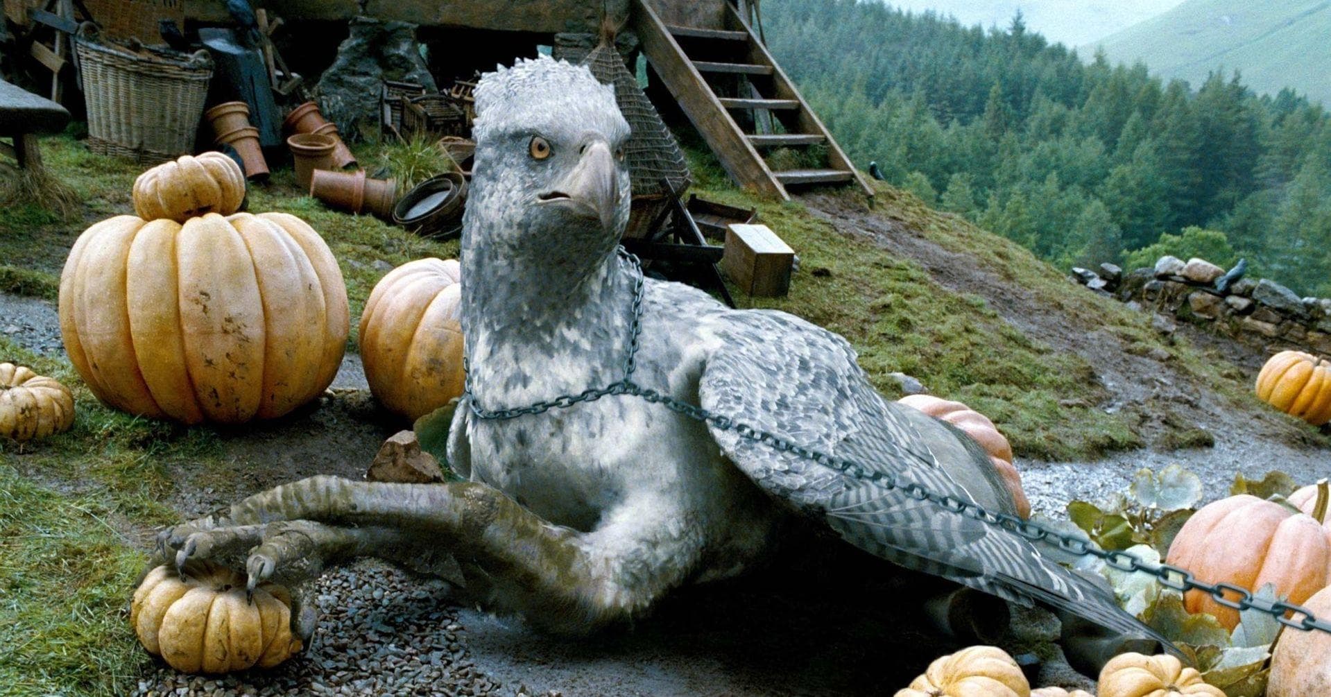 Things You Didn't Know About Magical Creatures In 'Harry Potter' If You