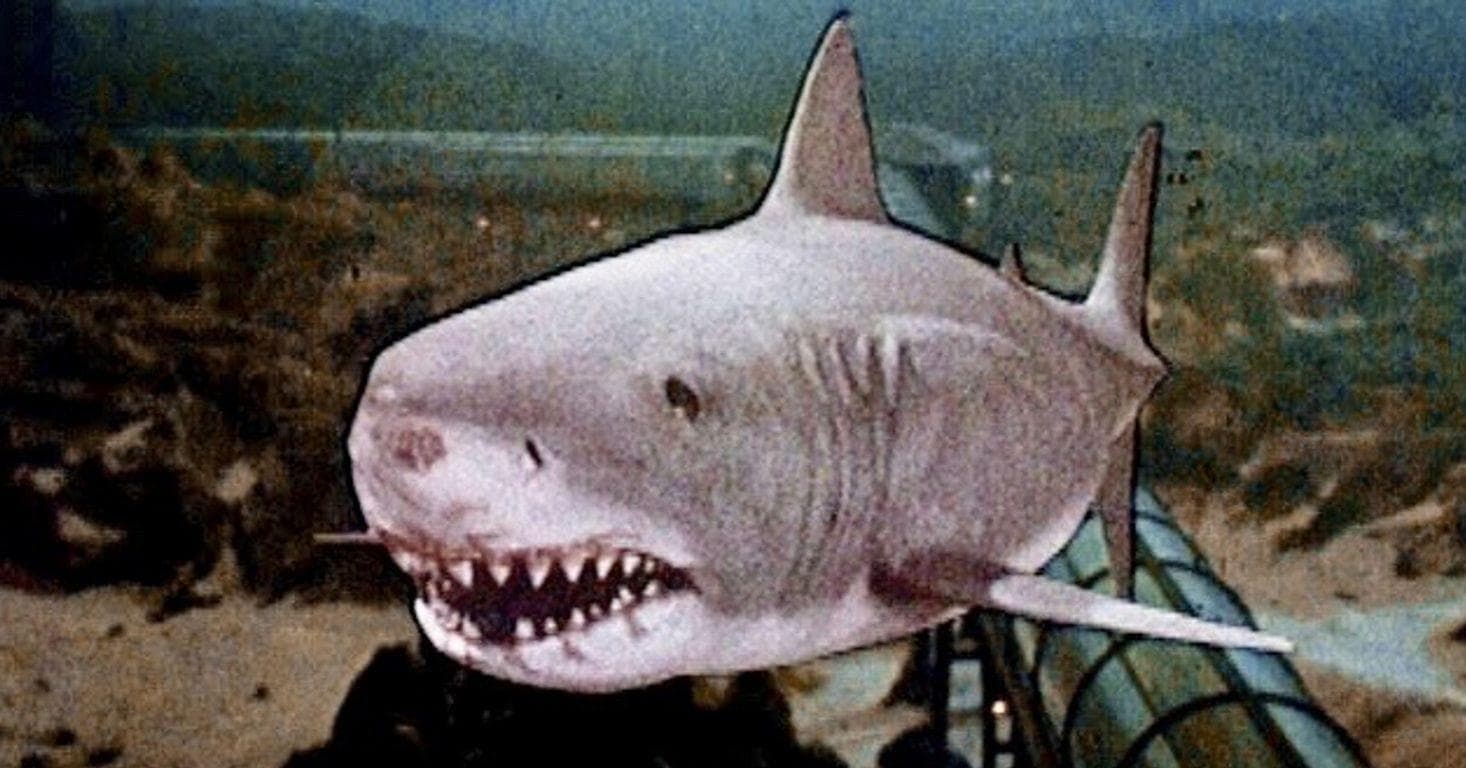 Stephen King Asked Fans For The Worst Horror Movies They Ever Saw & They Had Surprising Answers