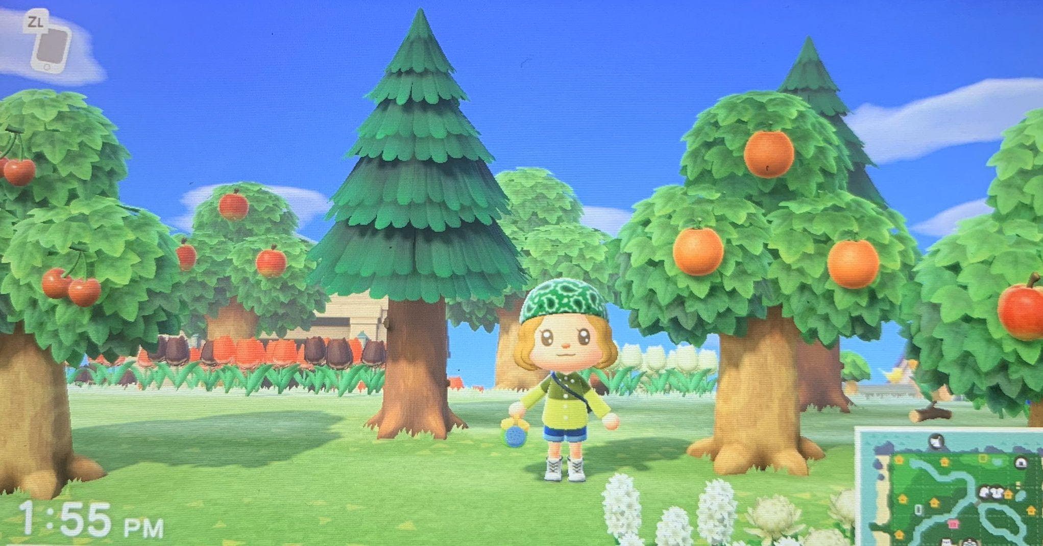 Celebrities Who Play 'Animal Crossing: New Horizons'