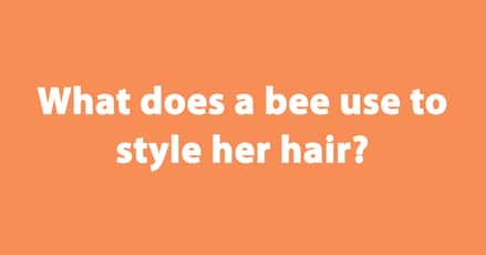The Best Bee Jokes That'll Have You Buzzing, Ranked
