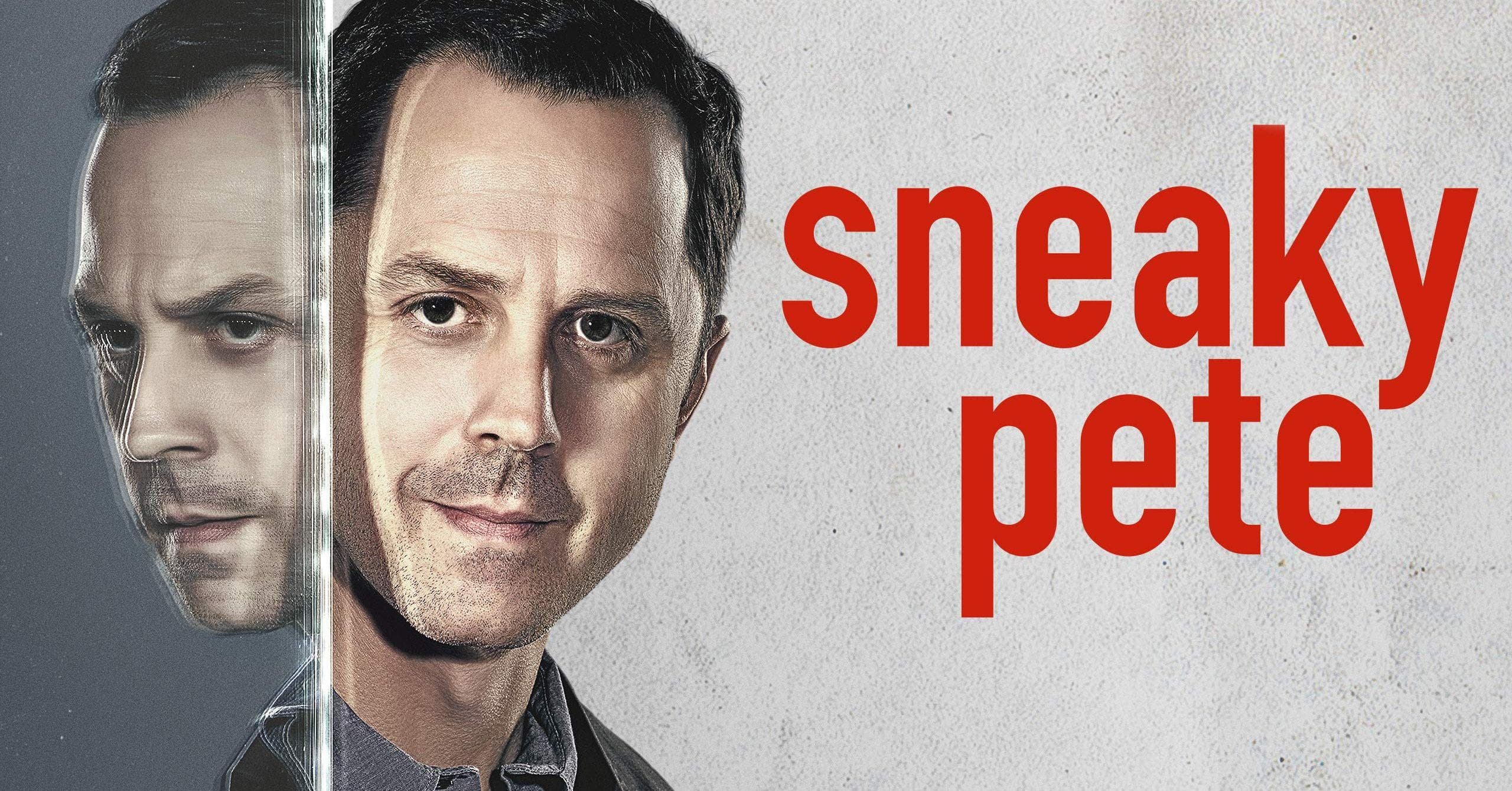 The 50+ Best TV Shows Like 'Sneaky Pete', Ranked By Fans