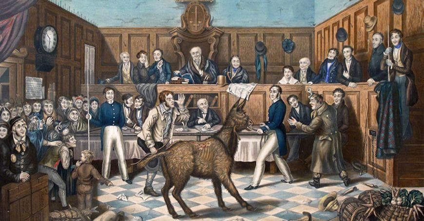 The Most Bizarre Cases Of Animals Put On Trial
