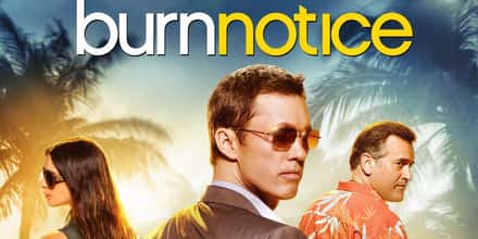 What To Watch If You Love 'Burn Notice'