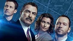 What to Watch If You Love 'Blue Bloods'