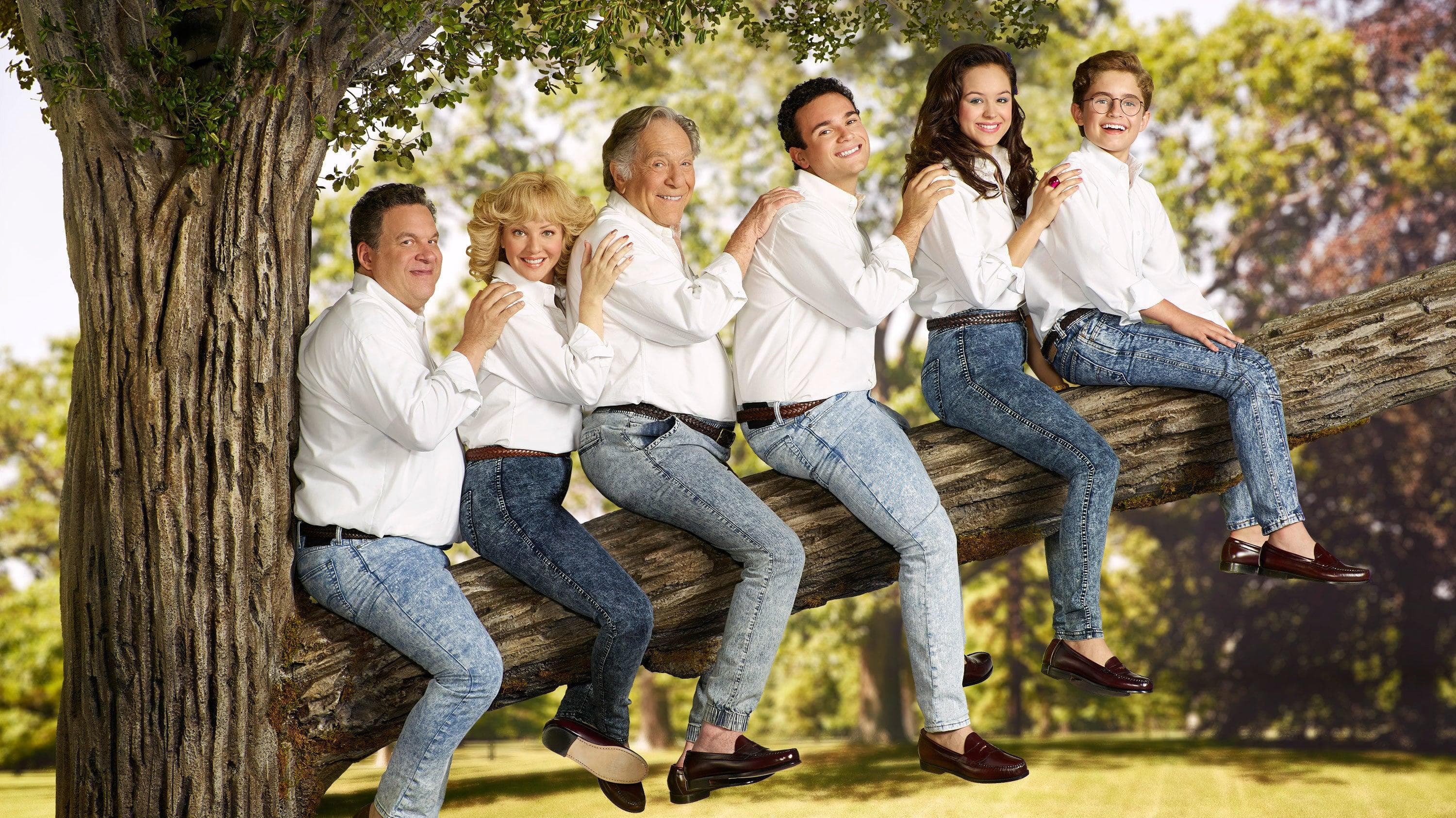 Различные 1. The Goldbergs. Goldbergs сериал. The Goldbergs TV Series. Family pictures to describe.