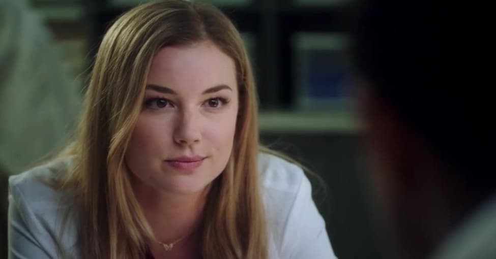 The Real Reasons Emily VanCamp Left 'The Resident'