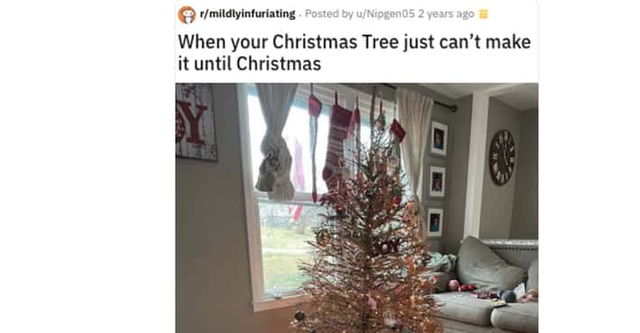 19 Infuriating Christmas Tree Fails That Are St...