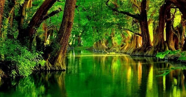 The Waterboy Characters Cast List Of Characters From The Waterboy The waterboy is a 1998 american sports comedy film directed by frank coraci and starring adam sandler, kathy cast. list of the waterboy characters