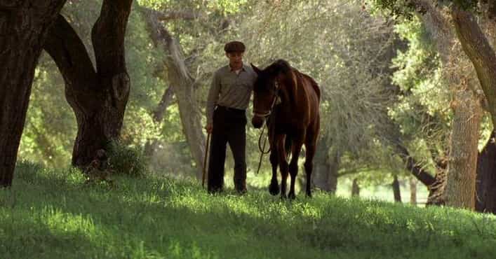 15 Horse Movies On Netflix That You Can Watch Right Now