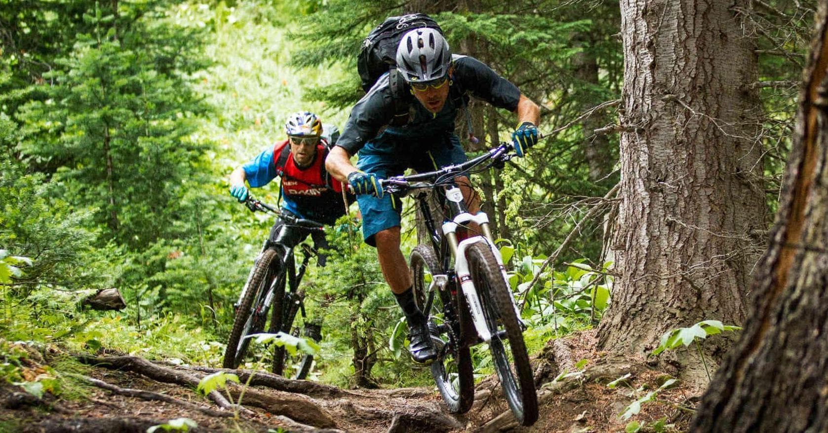 top 100 mountain bike brands