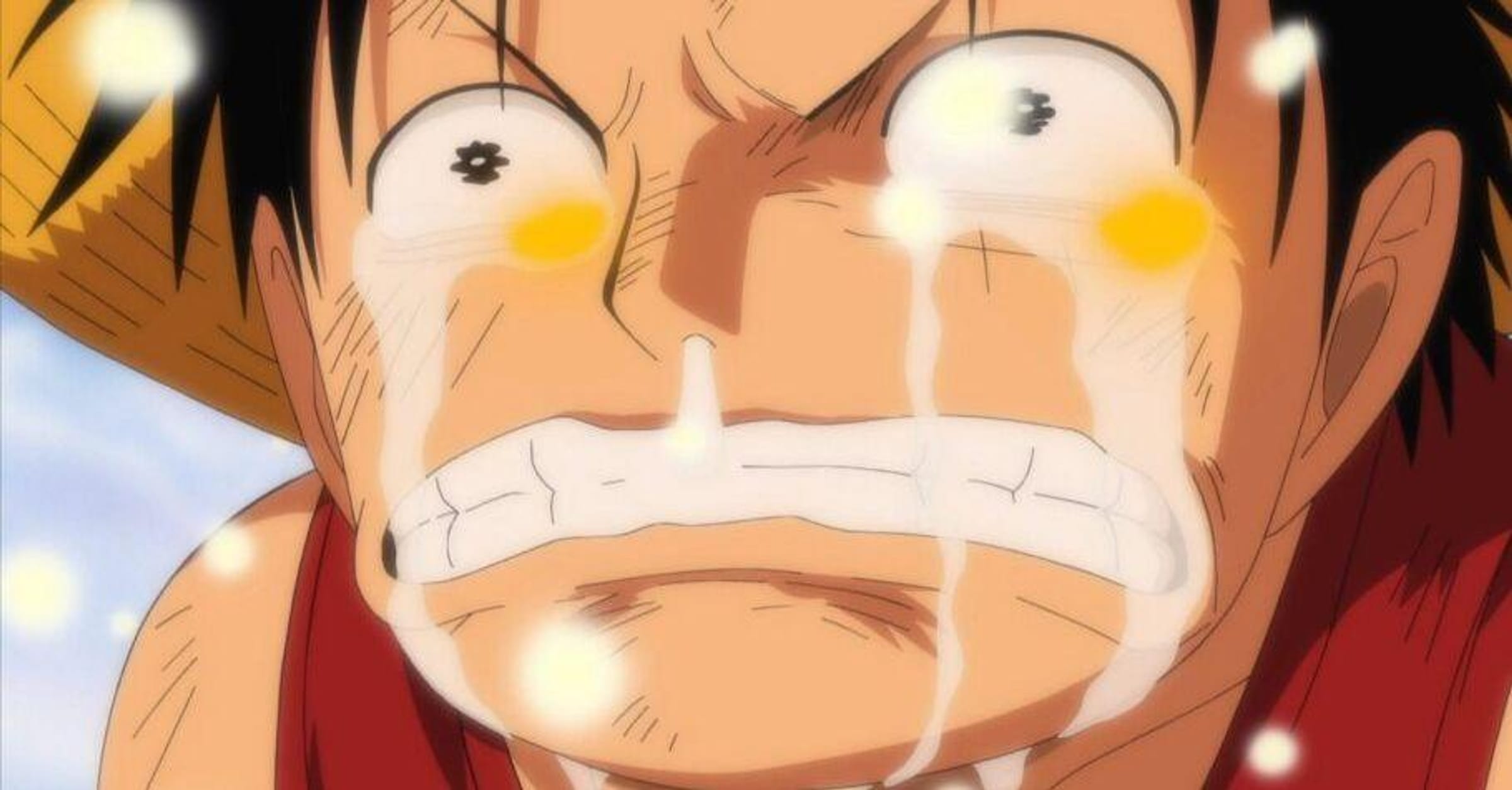 Luffy will..never be able to..No, he will be! I'm
