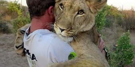 15 Times Wild Animals Actually Saved Humans