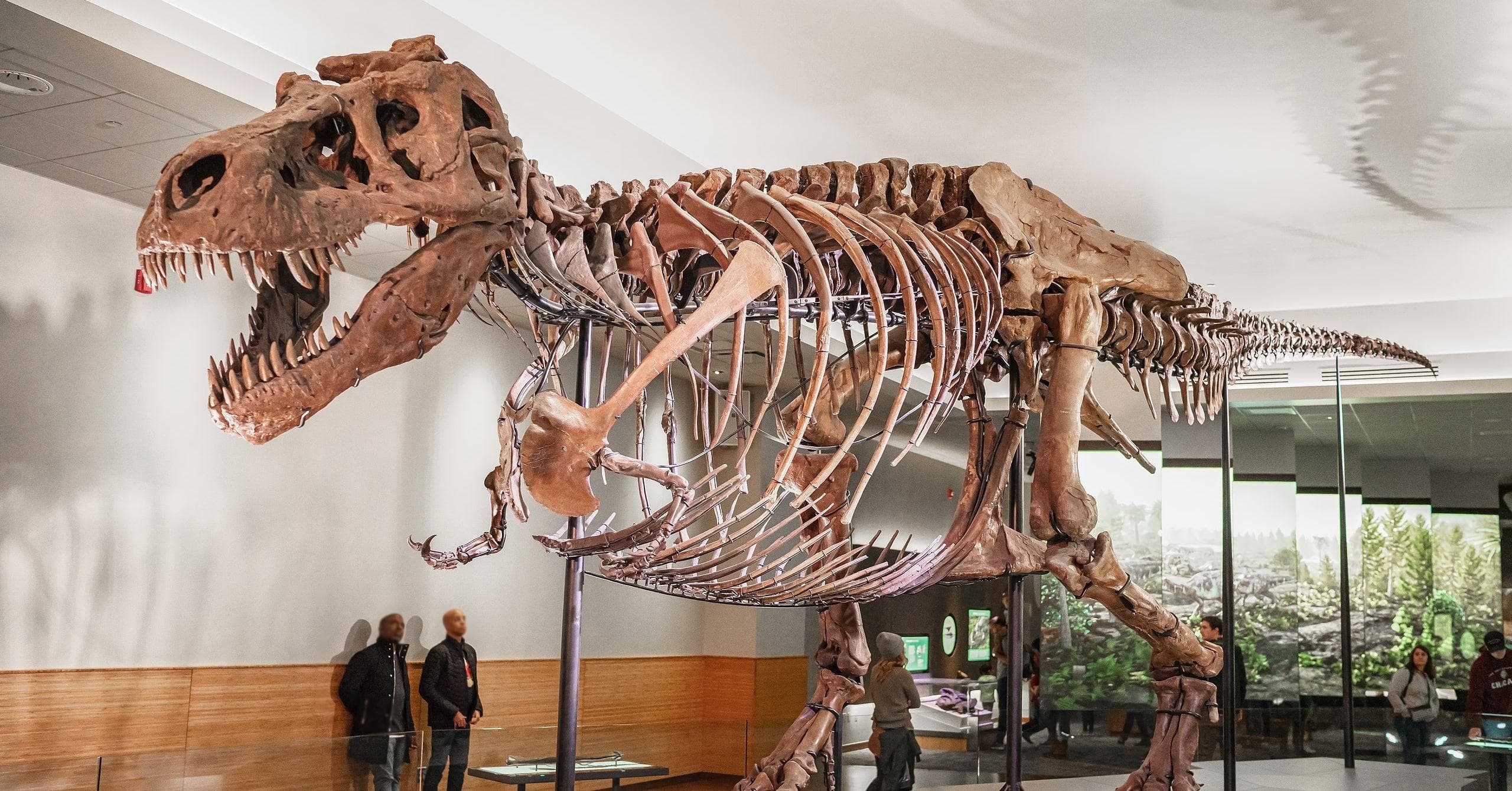 Why Prehistoric Animals Were Huge
