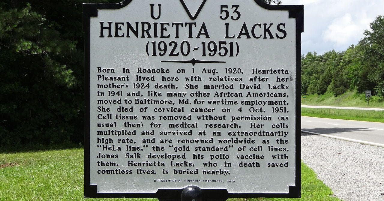 Nearly Forgotten People That Revolutionized Our World