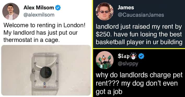 24 Unfiltered Tweets About Landlords That Perfe...