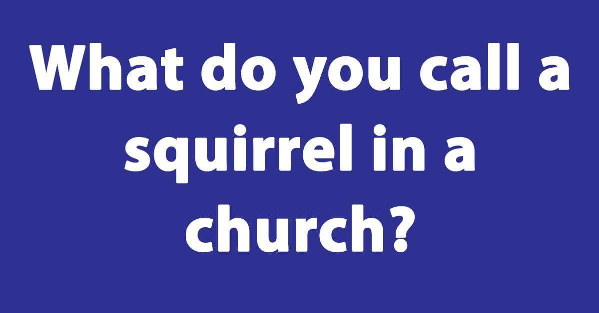 The 24 Best Squirrel Jokes, Ranked