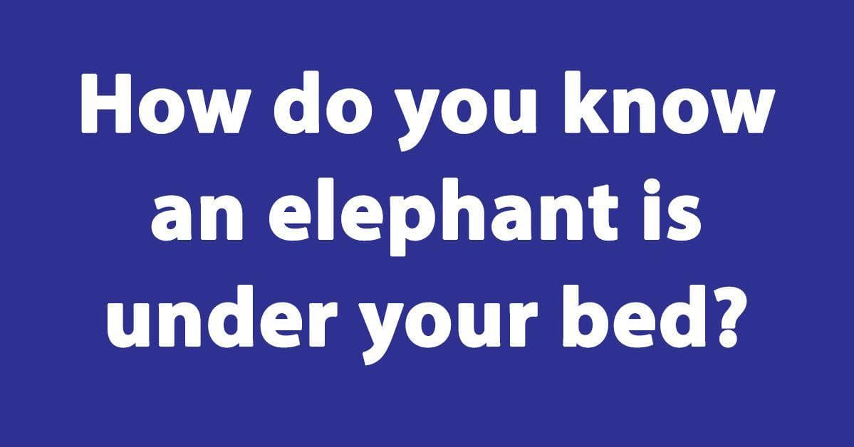 The 25 Best Elephant Jokes, Ranked