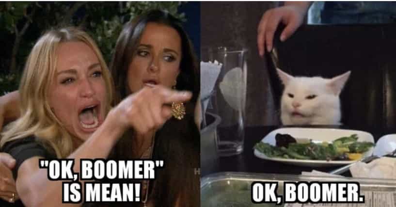 19 Funny Ok Boomer Memes To Fuel The War Between Boomers And Millennials