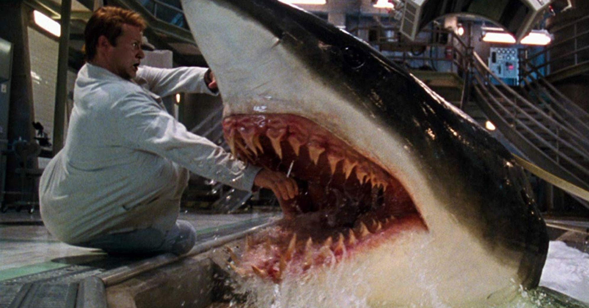 Fan Theories About Shark Movies That We Hadn