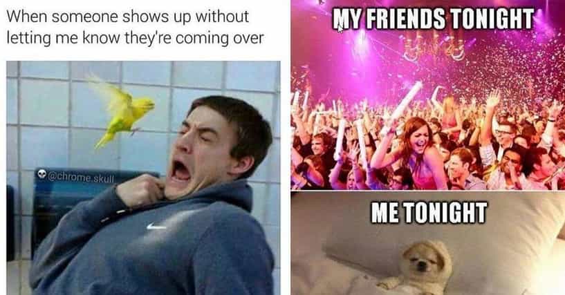 25 Introvert Memes That All Homebodies Can Relate To