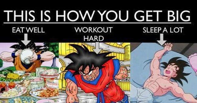 The Best Dragon Ball Z Memes Funny DBZ Jokes