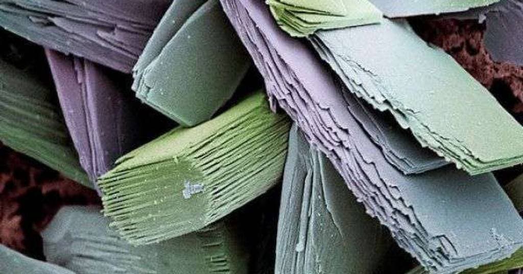 Microscope Pictures | Cool Microscopic Images