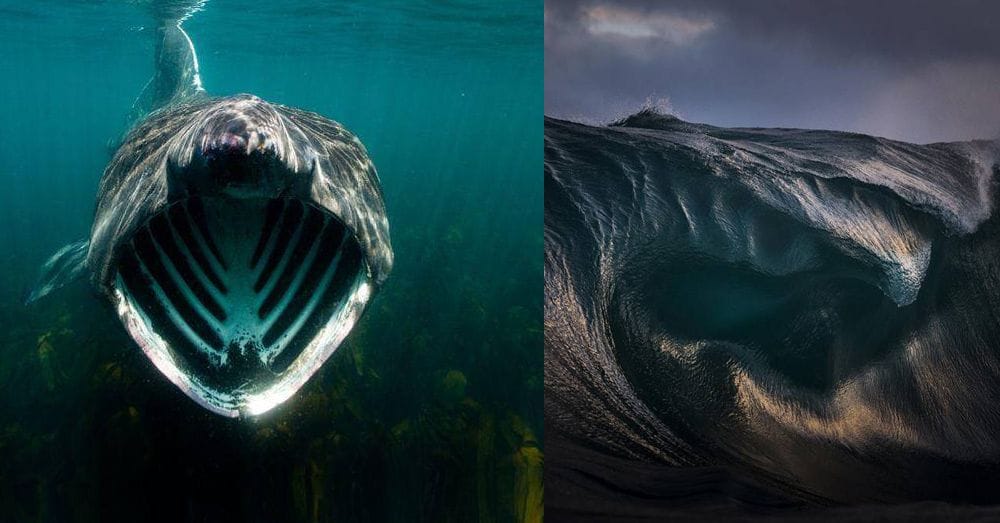 Thalassophobia | Fear of Deep Water Photos