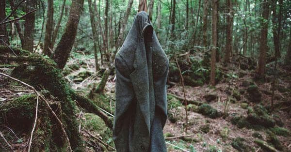 Facts &amp; Myths About Aokigara the Suicide Forest