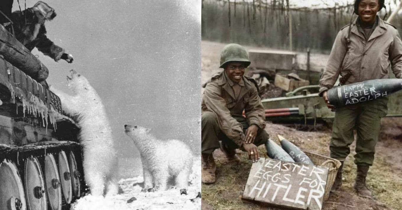 Vintage World War 2 Pictures Amazing Photos of WWII