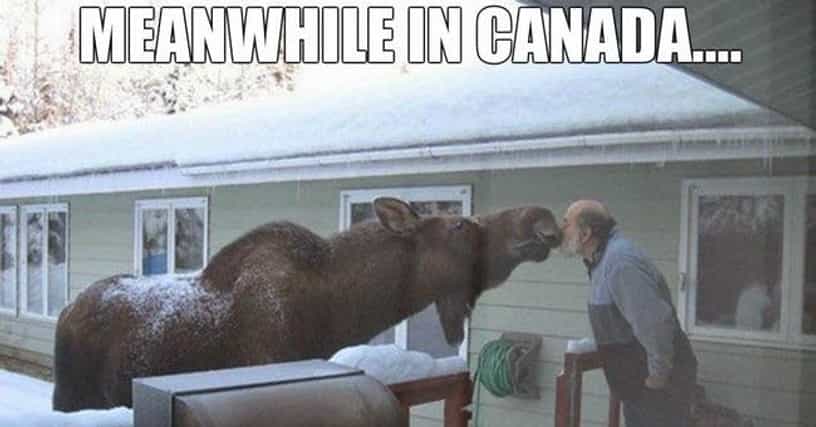  Meanwhile  in Canada Funny  Photos of Canadian Life