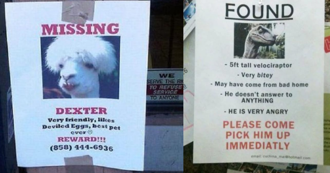 25-funny-lost-and-found-signs-that-are-on-point